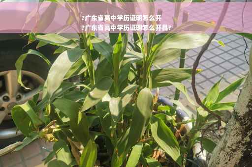 ?广东省高中学历证明怎么开
?广东省高中学历证明怎么开具?