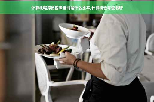计算机程序员四级证书是什么水平,计算机软考证书呀