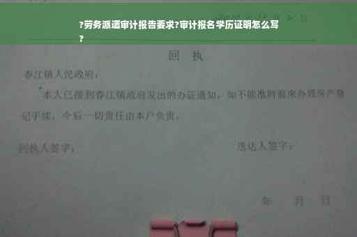 ?劳务派遣审计报告要求?审计报名学历证明怎么写
?