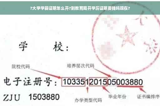 ?大学学籍证明怎么开?到教育局开学历证明要钱吗现在?