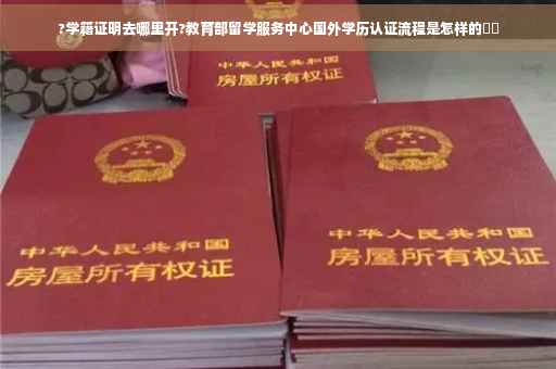 ?学籍证明去哪里开?教育部留学服务中心国外学历认证流程是怎样的⚡️
