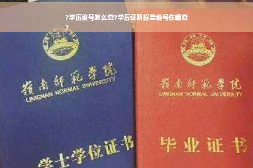 ?学历编号怎么查?学历证明报告编号在哪查
?