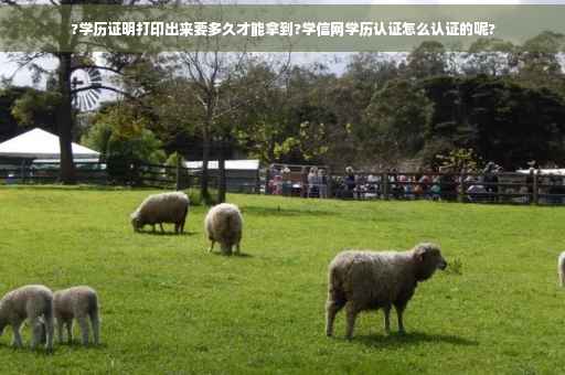 ?学历证明打印出来要多久才能拿到?学信网学历认证怎么认证的呢?
