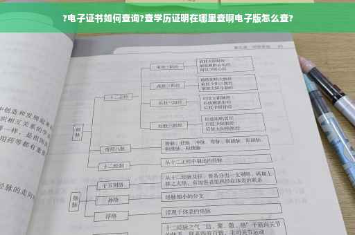 ?电子证书如何查询?查学历证明在哪里查啊电子版怎么查?