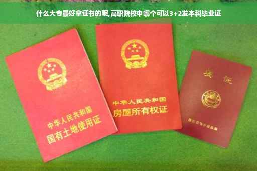 什么大专最好拿证书的呢,高职院校中哪个可以3+2发本科毕业证
