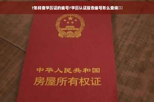 ?怎样查学历证的编号?学历认证报告编号怎么查询⚡️