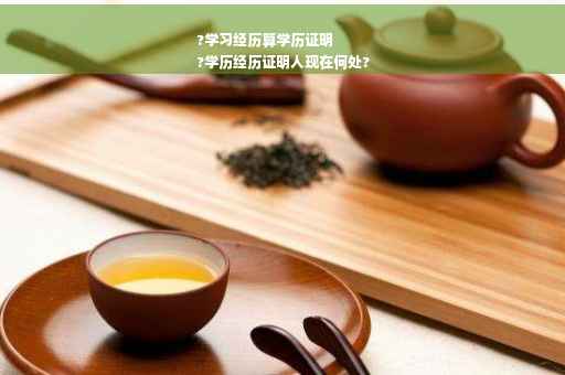 ?学习经历算学历证明
?学历经历证明人现在何处?