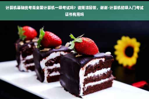 计算机基础统考是全国计算机一级考试吗？请简洁回答，谢谢-计算机初级入门考试证书有用吗