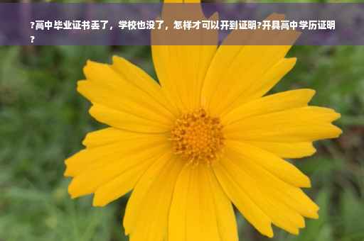 ?高中毕业证书丢了，学校也没了，怎样才可以开到证明?开具高中学历证明
?
