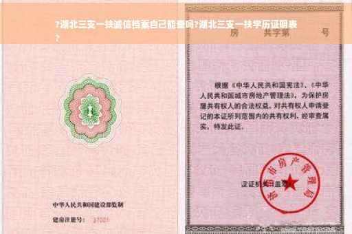 ?湖北三支一扶诚信档案自己能查吗?湖北三支一扶学历证明表
?