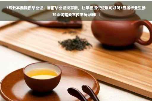 ?专升本要提供毕业证，目前毕业证没拿到，让学校提供证明可以吗?应届毕业生参加面试需要学位学历证明⚡️