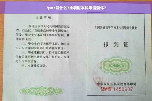 ?pns是什么?比利时本科申请条件?