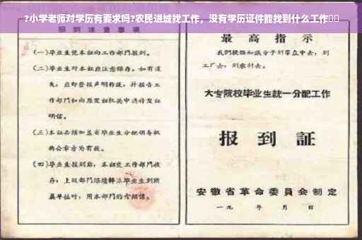 ?小学老师对学历有要求吗?农民进城找工作，没有学历证件能找到什么工作⚡️
