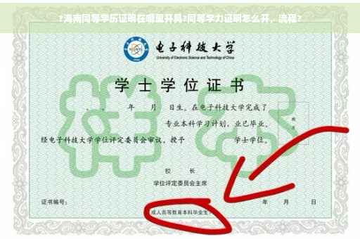 ?海南同等学历证明在哪里开具?同等学力证明怎么开，流程?