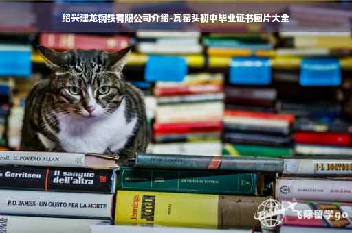 绍兴建龙钢铁有限公司介绍-瓦窑头初中毕业证书图片大全