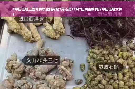 ?学历证明上面写的毕业时间是7月还是12月?山东省教育厅学历证明文件
?