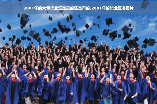 2001年的大专毕业证是皮的还是布的,2001年的毕业证书图片