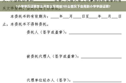 ?小学学历证明怎么开怎么写模板?什么情况下会用到小学学籍证明?