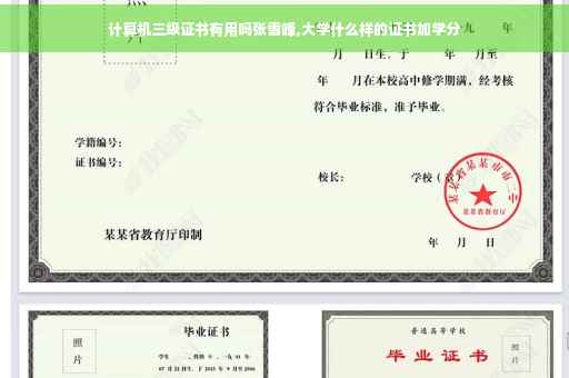 计算机三级证书有用吗张雪峰,大学什么样的证书加学分