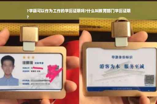 ?学籍可以作为工作的学历证明吗?什么叫教育部门学历证明
?