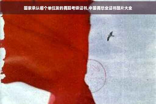国家承认哪个单位发的舞蹈考级证书,中国舞毕业证书图片大全