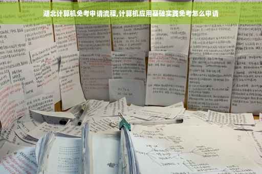 湖北计算机免考申请流程,计算机应用基础实践免考怎么申请