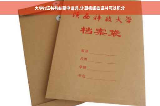 大学it证书有必要申请吗,计算机哪些证书可以积分