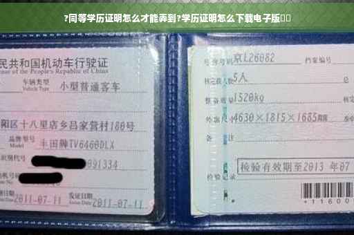 ?同等学历证明怎么才能弄到?学历证明怎么下载电子版⚡️