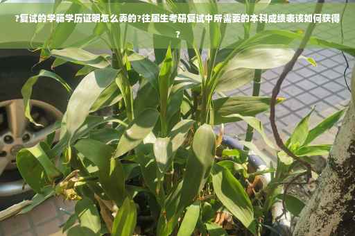 ?复试的学籍学历证明怎么弄的?往届生考研复试中所需要的本科成绩表该如何获得?