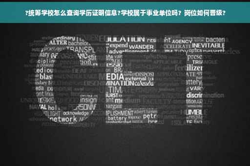 ?统筹学校怎么查询学历证明信息?学校属于事业单位吗？岗位如何晋级?