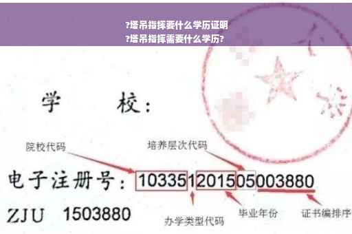 ?塔吊指挥要什么学历证明
?塔吊指挥需要什么学历?