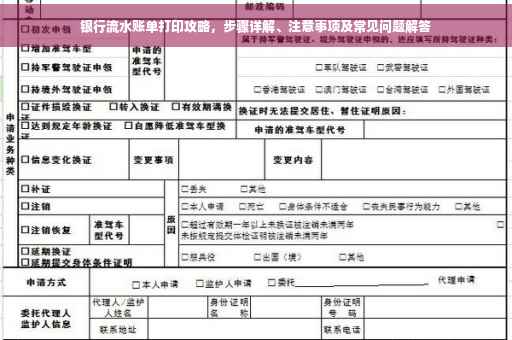 银行流水账单打印攻略，步骤详解、注意事项及常见问题解答