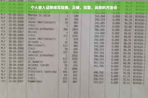 个人收入证明填写指南，正确、完整、高效的方法论