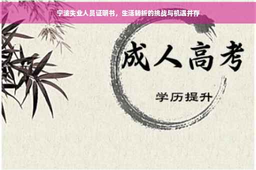 宁波失业人员证明书，生活转折的挑战与机遇并存