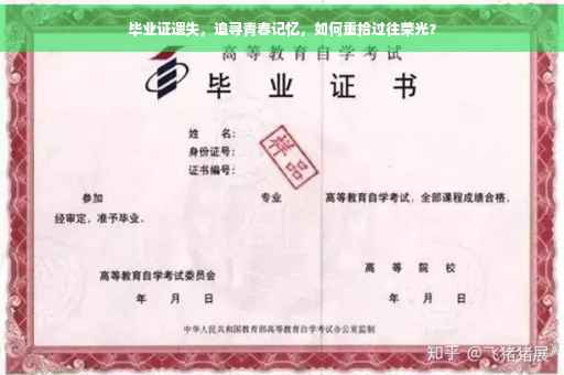 毕业证遗失，追寻青春记忆，如何重拾过往荣光？