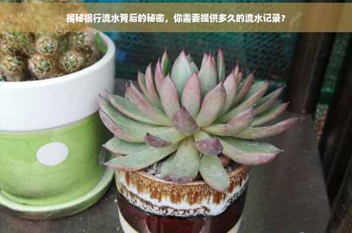 揭秘银行流水背后的秘密，你需要提供多久的流水记录？