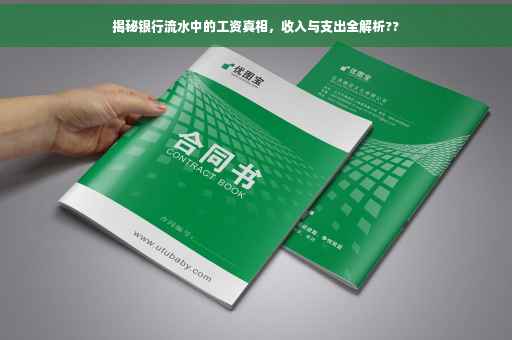 揭秘银行流水中的工资真相，收入与支出全解析??