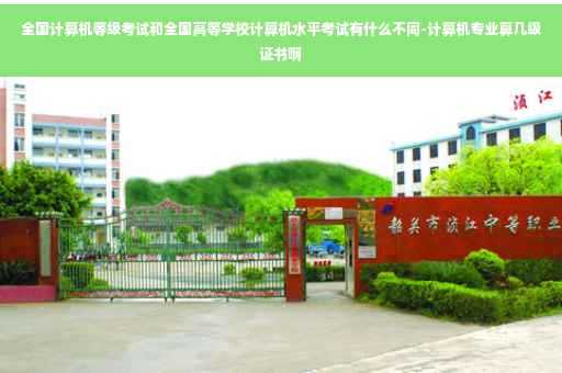 全国计算机等级考试和全国高等学校计算机水平考试有什么不同-计算机专业算几级证书啊