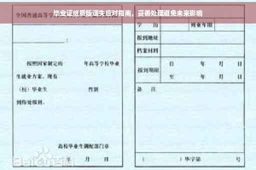 毕业证纸质版遗失应对指南，妥善处理避免未来影响