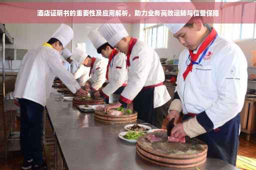 酒店证明书的重要性及应用解析，助力业务高效运转与信誉保障