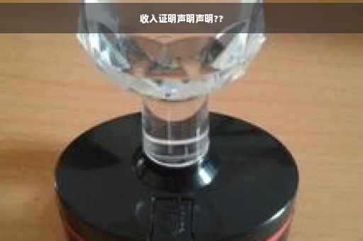收入证明声明声明??