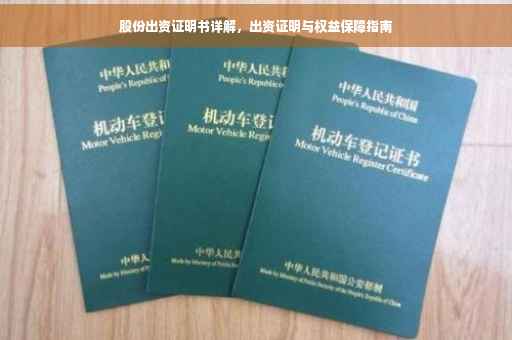 股份出资证明书详解，出资证明与权益保障指南