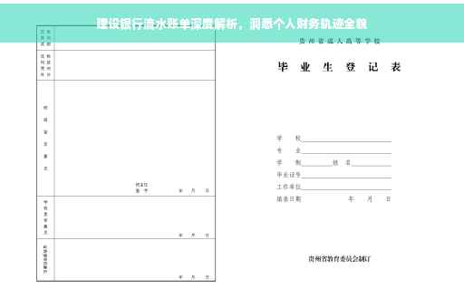 建设银行流水账单深度解析，洞悉个人财务轨迹全貌