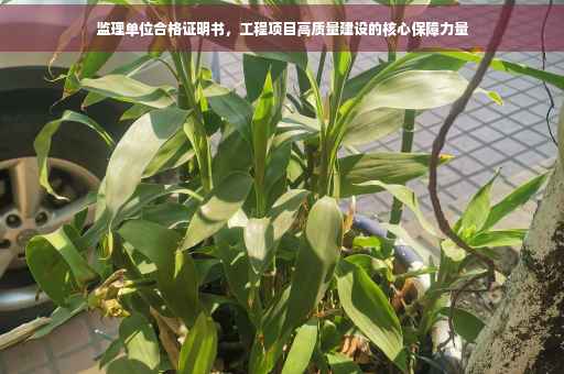 监理单位合格证明书，工程项目高质量建设的核心保障力量