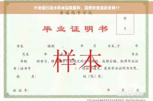 兴业银行流水账单深度解析，洞悉资金流动全貌??