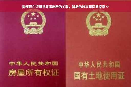 揭秘死亡证明书与派出所的关联，背后的故事与深意探索??