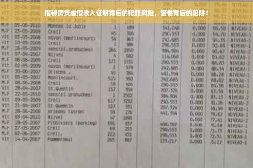 揭秘房贷虚假收入证明背后的犯罪风险，警惕背后的陷阱！
