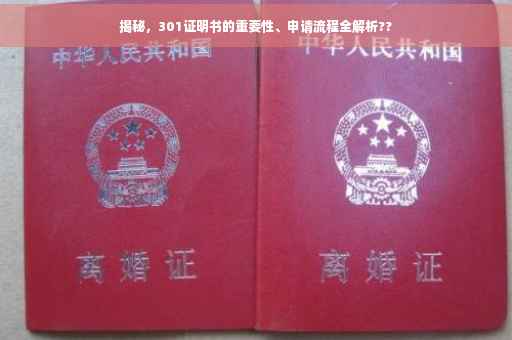 揭秘，301证明书的重要性、申请流程全解析??