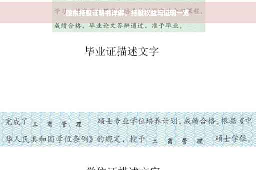 股东持股证明书详解，持股权益与证明一览