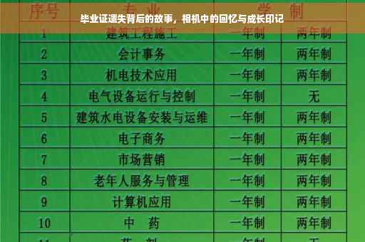 毕业证遗失背后的故事，相机中的回忆与成长印记